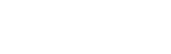 The Skin Edit Co